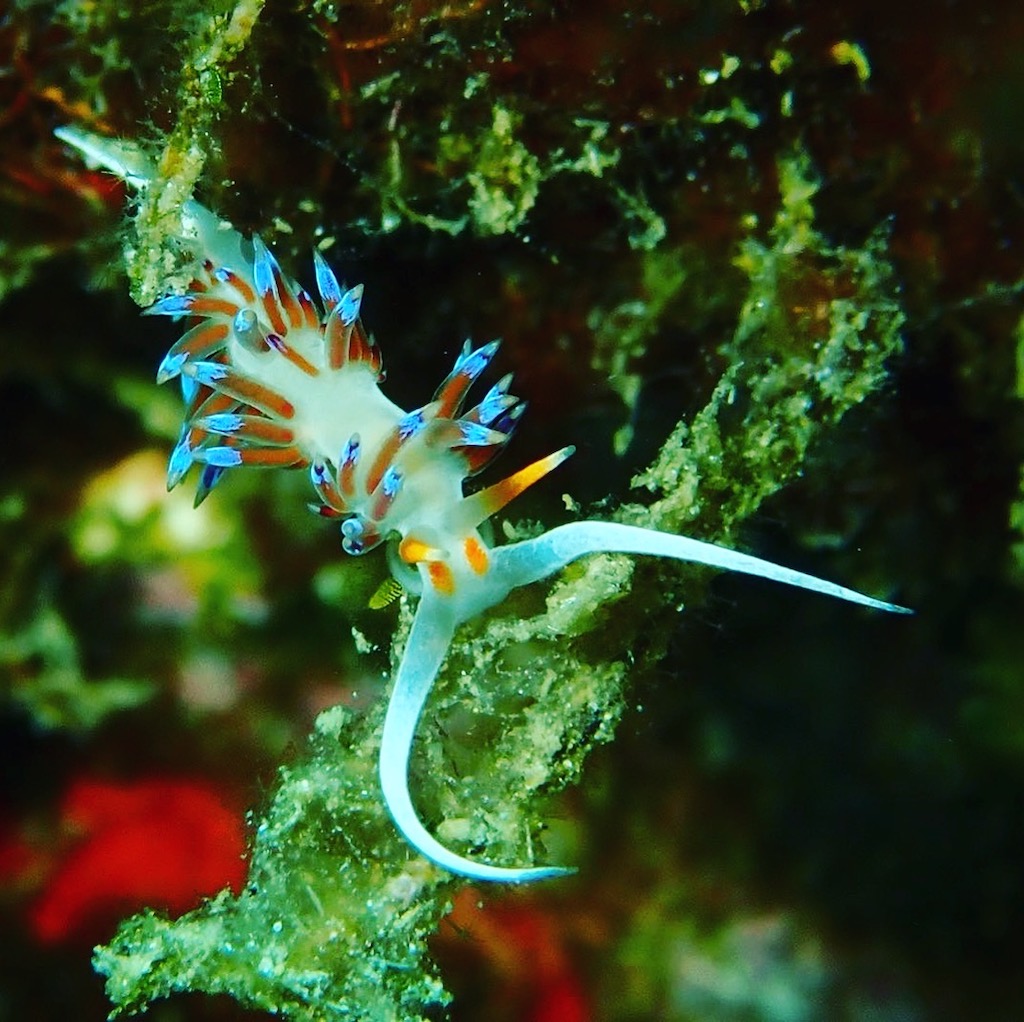Kroatien