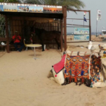 Urlaub, Rotes Meer, Ägypten, Hurghada,