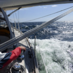 Phoenix, Abenteuer, Wirtschaftsseminar, Ben Hadamovsky, Weltumseegeln, segeln