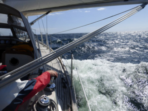 Phoenix, Abenteuer, Wirtschaftsseminar, Ben Hadamovsky, Weltumseegeln, segeln