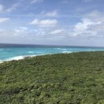 Cozumel Punta Sur