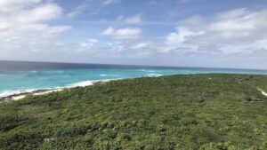 Cozumel Punta Sur