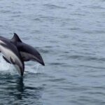 Reiseblogger kennen die besten Destinationen