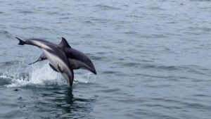 Reiseblogger kennen die besten Destinationen