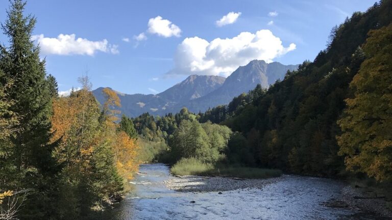 So retten wir unsere Natur