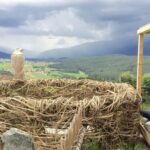 Nest mit Blick über ein Tal
