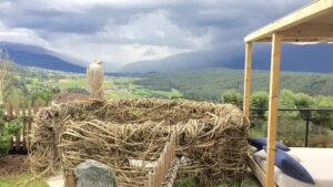 Nest mit Blick über ein Tal