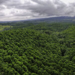Aufforstung in Costa Rica