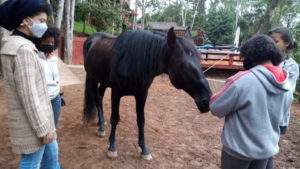 Tiere als Therapie