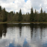 Geheimsee Fichtelgebirge