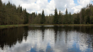Geheimsee Fichtelgebirge