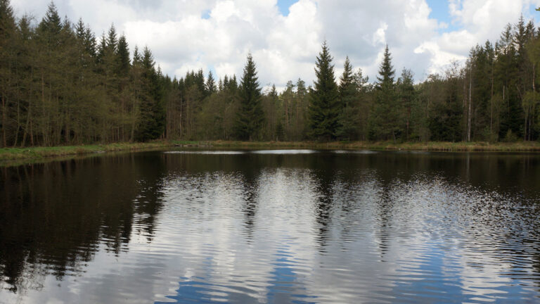 Geheimsee Fichtelgebirge