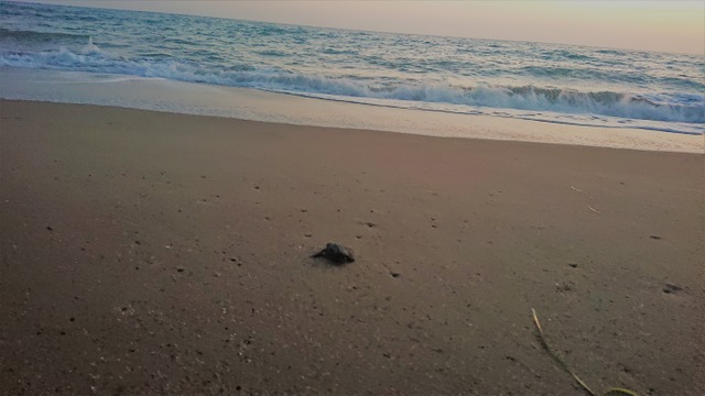 Mit dem Auto nach Griechenland