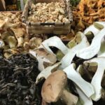 Herbstrezepte mit Pilzen