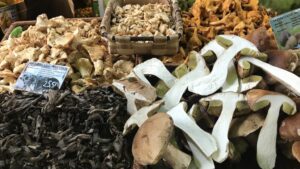 Herbstrezepte mit Pilzen