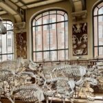 In Paris auf den Spuren der Evolution