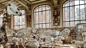 In Paris auf den Spuren der Evolution