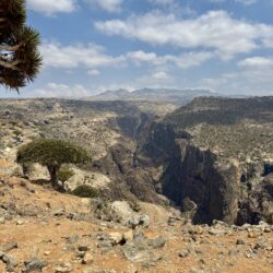 Socotra