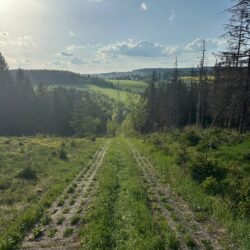 Grünes Tal auf dem Kolonnenweg