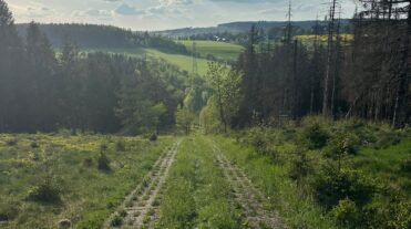Grünes Tal auf dem Kolonnenweg