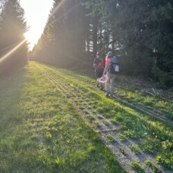 Kolonnenweg