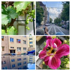 viertel