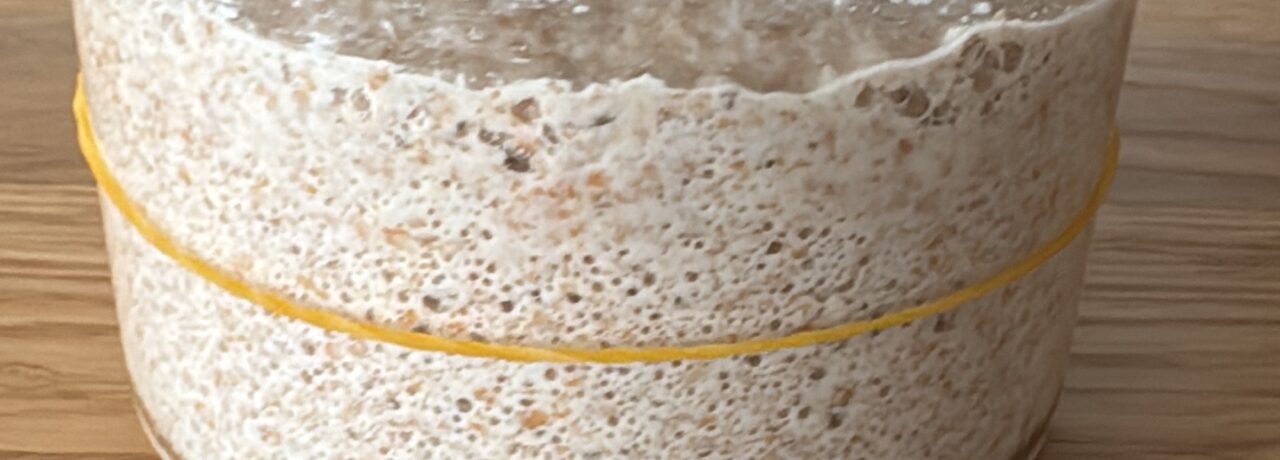 ein Sauerteig Starter